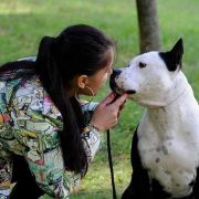 GO-GO NARCOTIC Bullbandit