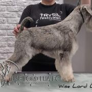 GOLDIRIS BETTER AND BETTER 