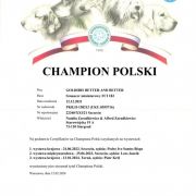 GOLDIRIS BETTER AND BETTER 