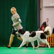 Gorgana Malowana Izba