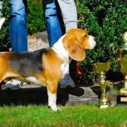 Got To B SNOOP DOG 3