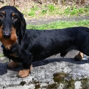 GRAND z Łobuzerskiej Ferajny