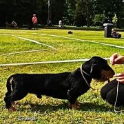 GRAND z Łobuzerskiej Ferajny