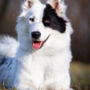 GRAVIA Diament Jakucji 3