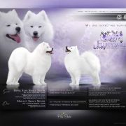 HAILLEY Small Silver FCI