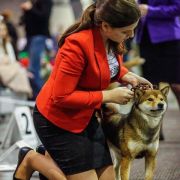 HAKONE IDZU GANKEN 2