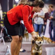 HAKONE IDZU GANKEN 3