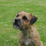 Hana Dziekanowska Polana FCI