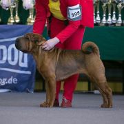 Happy Love Pure Life Candy Sugar Dog 3