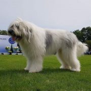 HAPPY TO BE BACK Collis Amores