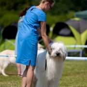 HAPPY TO BE BACK Collis Amores