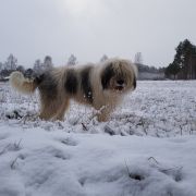 HAPPY TO BE BACK Collis Amores