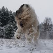 HAPPY TO BE BACK Collis Amores