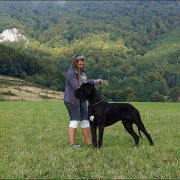 HASHICH de la Benjamine