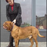 HEDON ex Cubile Lamia