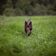 IMAGINE IT Dai Muratori