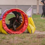 IMAGINE IT Dai Muratori