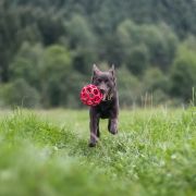 IMAGINE IT Dai Muratori