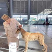 HELENA DE LA VALLEE DU MOUTON