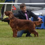 Heroine of Wisdom All Irish Gold FCI – Jessi 2