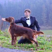 Heroine of Wisdom All Irish Gold FCI – Jessi 3