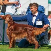 Heroine of Wisdom All Irish Gold FCI – Jessi 4