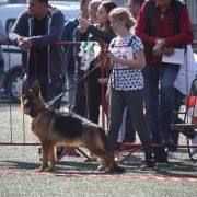 HMERIDA von Klobenwalde 2