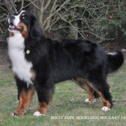 HOLLY HOPE NEKIELSKIE MOCZARY