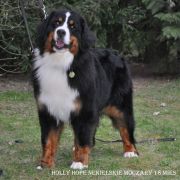 HOLLY HOPE NEKIELSKIE MOCZARY 2