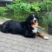 HOLLY HOPE NEKIELSKIE MOCZARY 3