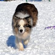 HOLY SMOKE Mystique Regni 4