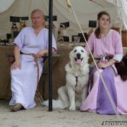 HRABINA Aroniowa Dolina (FCI)