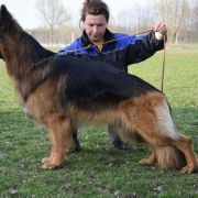 Hunter Andomi Poland