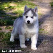 I LIKE TO TRAWEL
