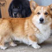 I WAS BORN TO LOVE YOU Dellbenq