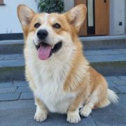 I WAS BORN TO LOVE YOU Dellbenq