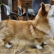 I WAS BORN TO LOVE YOU Dellbenq