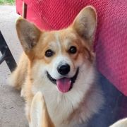 I WAS BORN TO LOVE YOU Dellbenq