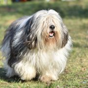 IBIZA z Eterowego Gniazda