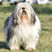 IBIZA z Eterowego Gniazda 2