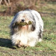 IBIZA z Eterowego Gniazda 3