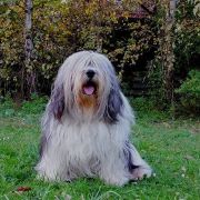 IBIZA z Eterowego Gniazda 4