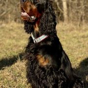 ICE TEA Kochanej Emilki 2