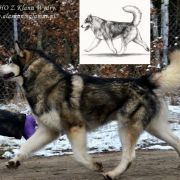 IDAHO Z Klanu Wydry 3