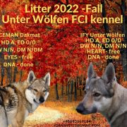 IFY Unter Wölfen FCI