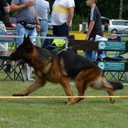 IKO vom Finkenschlag 4