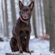 IMAGINE IT Dai Muratori