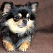 INSPIRACJA Michilinki