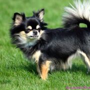 INSPIRACJA Michilinki 2