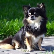 INSPIRACJA Michilinki 3